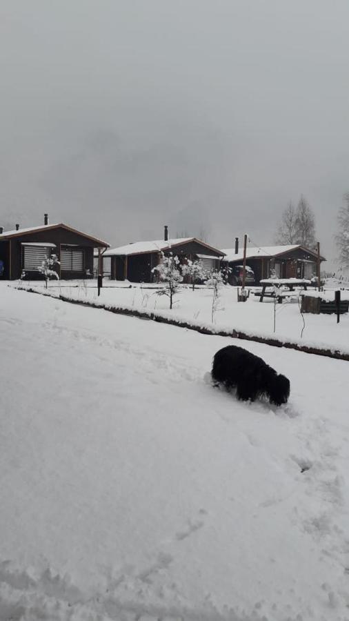El Embrujo Patagon Lägenhet Coyhaique Exteriör bild